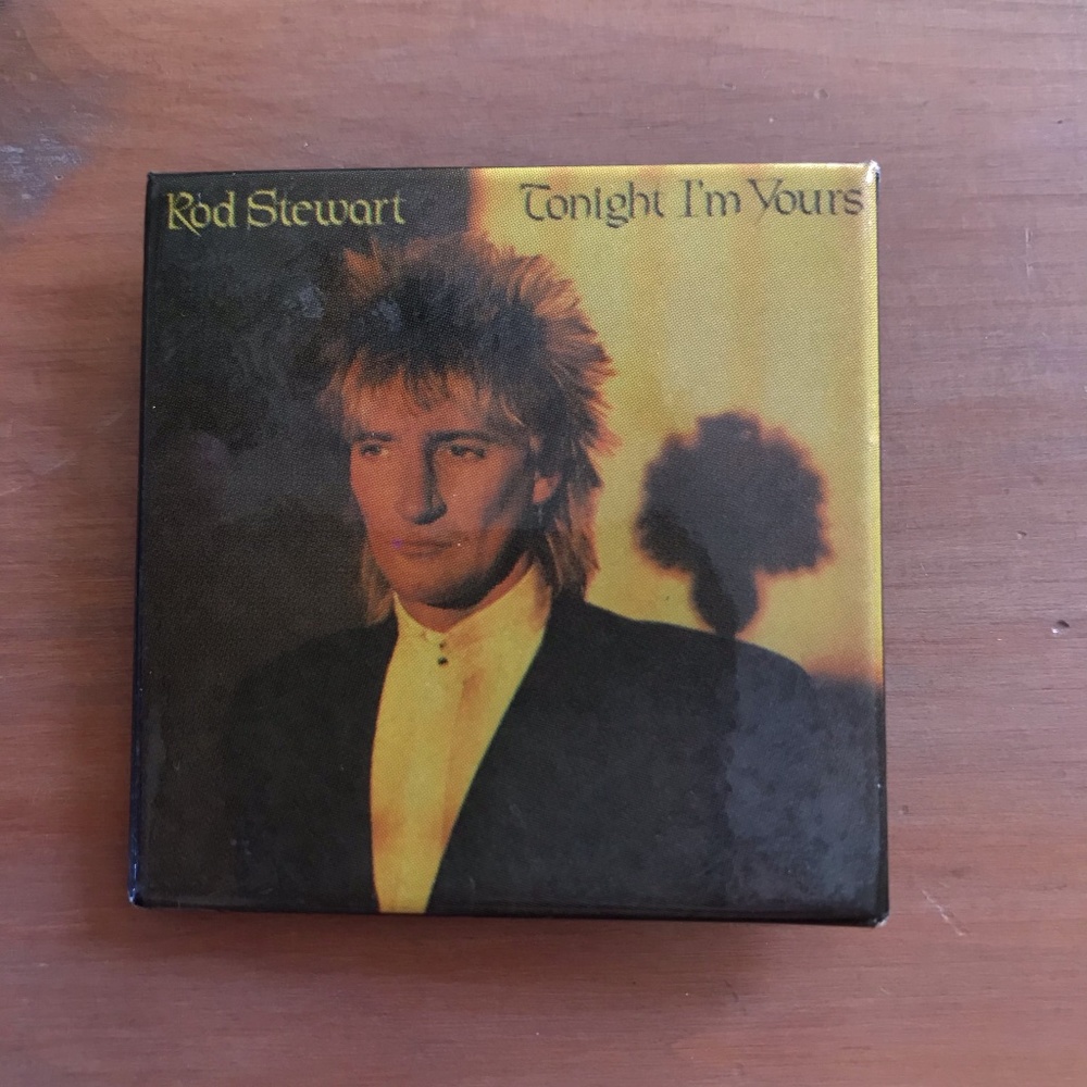 Rod Stewart Tonight I'm Yours Collectible Pin NWOT